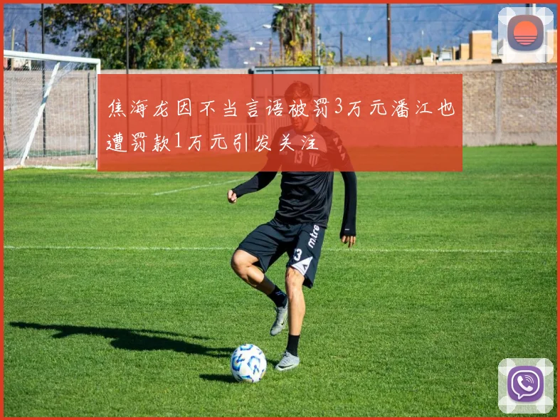 焦海龙因不当言语被罚3万元潘江也遭罚款1万元引发关注