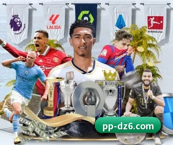 PP电子 APP